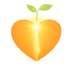 Online Kongress System